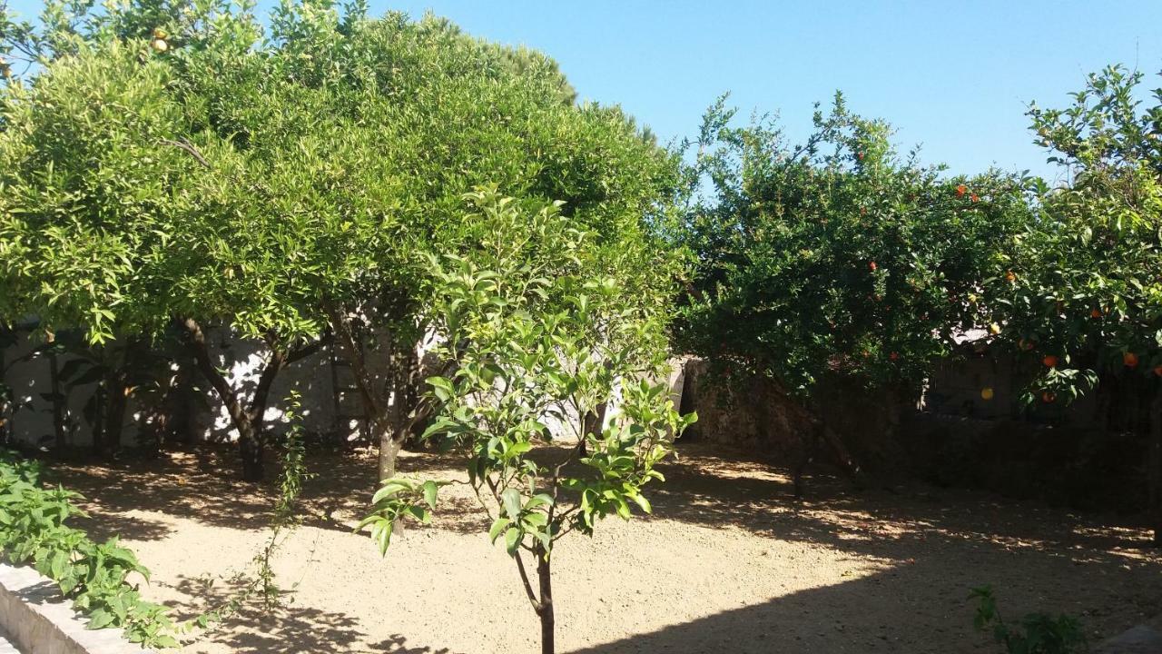 Séjour à la campagne Beloussi Zakynthos Kypseli